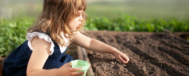 University Scholars Plant Seeds In a New Field of Study: Early Childhood Policy