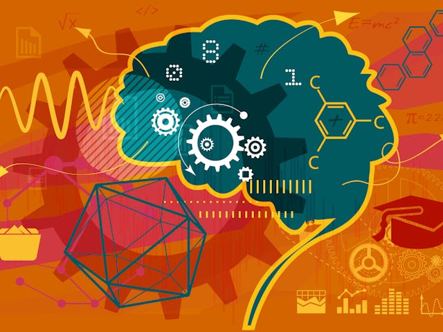 This Is Your Brain on Math: The Science Behind Culturally Responsive Instruction
